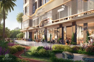 tiện ích nội khu the emerald 68